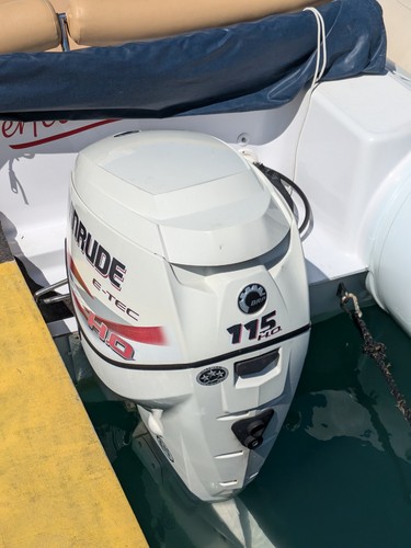 Motore evinrude 115 tec - evinrude,