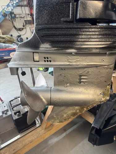 Cambio evinrude etec 50 - etec,