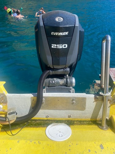 Evinrude tec 250 - evinrude, –