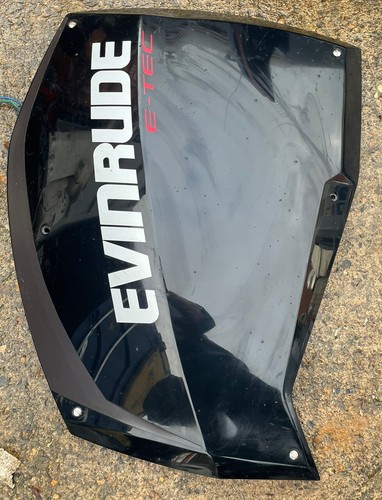 Coprimotore evinrude etec - evinrude, g2
